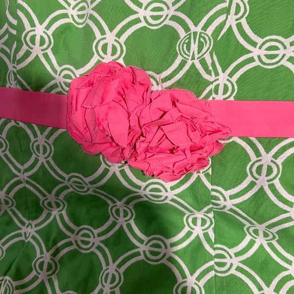 Lilly Pulitzer Dress - Picture 5 of 13